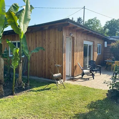 Gite Vogelau Schiltigheim Exterior photo