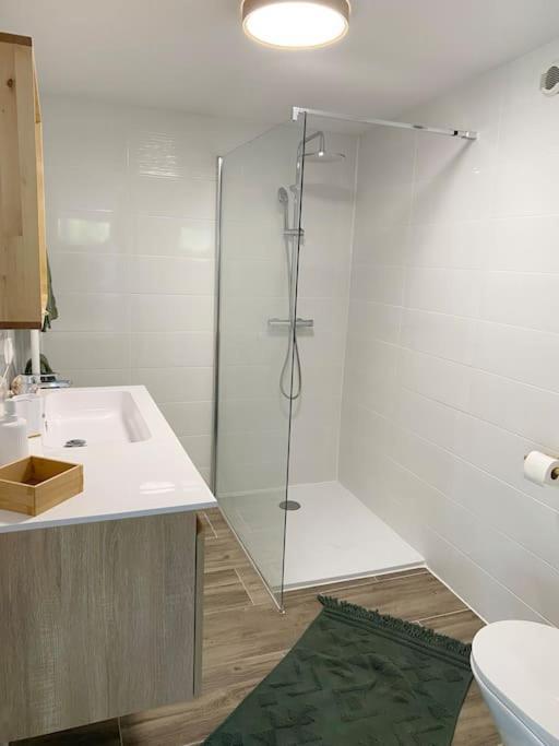 Appartement Vogelau Schiltigheim