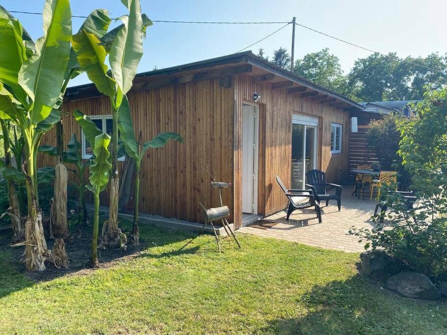 Vogelau Apartment